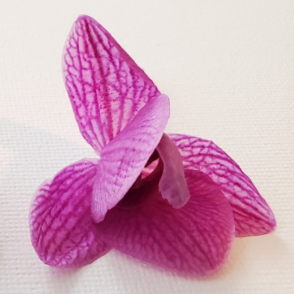 Meet your Posher, Simone